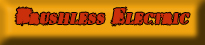 Brushless Electric